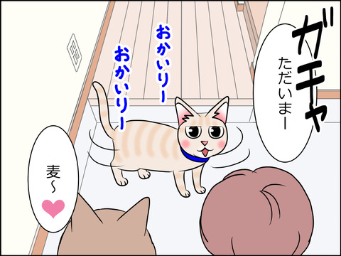あんこ&麦STORY1585b