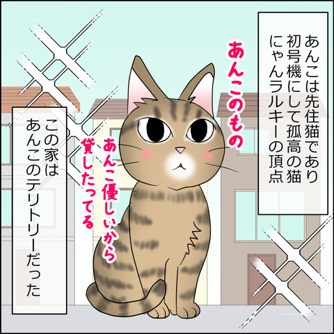 あんこ＆麦STORY2424a
