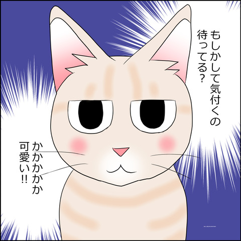 あんこ＆麦STORY2139c