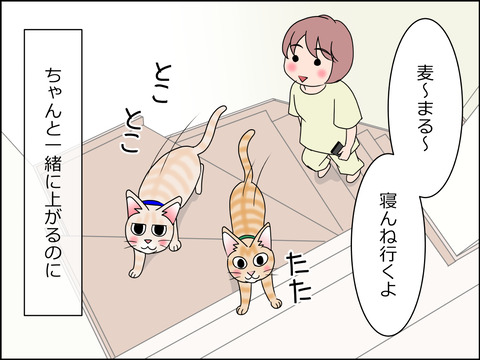あんこ&麦STORY1435a