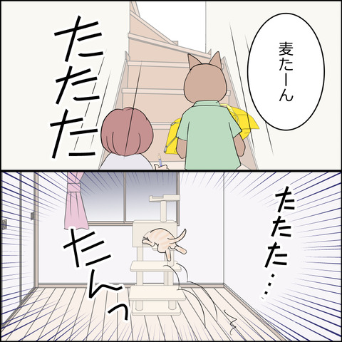 あんこ＆麦STORY2326b