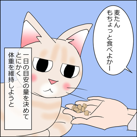 あんこ＆麦kenko147b