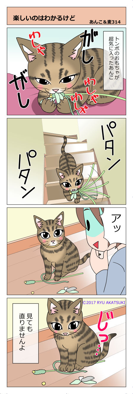 あんこ&麦STORY314