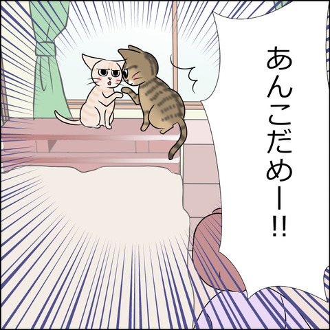 あんこ＆麦STORY1852c