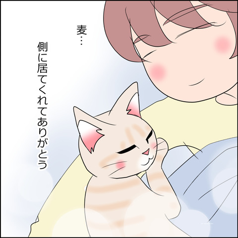 nekokita253d