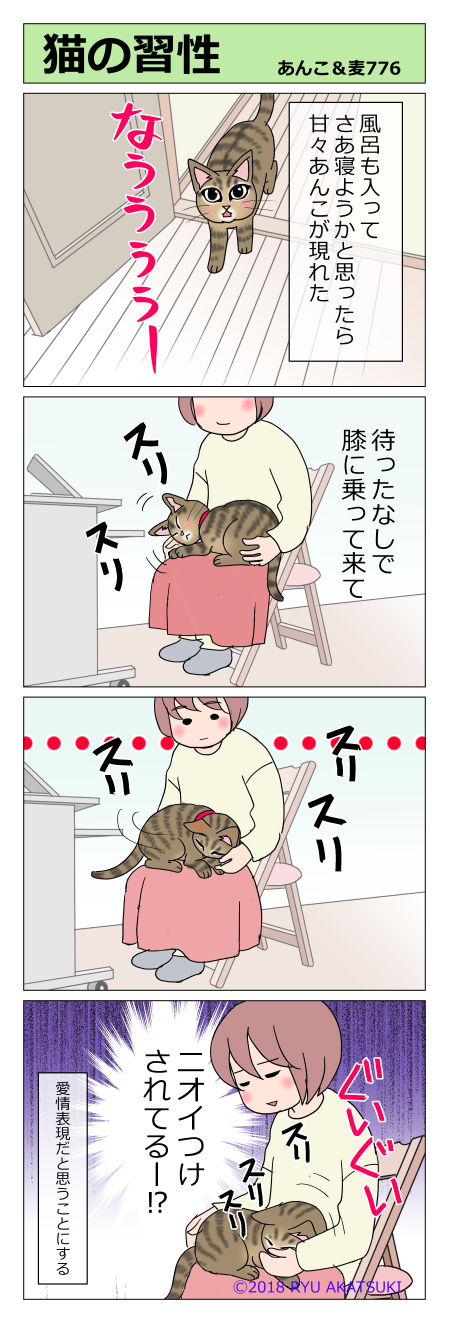 あんこ&麦STORY776