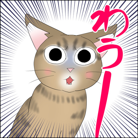 あんこ&麦STORY2323c