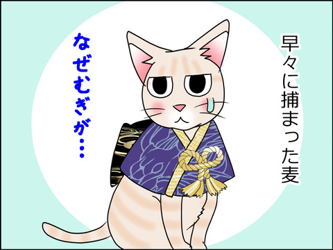 あんこ&麦STORY1512a