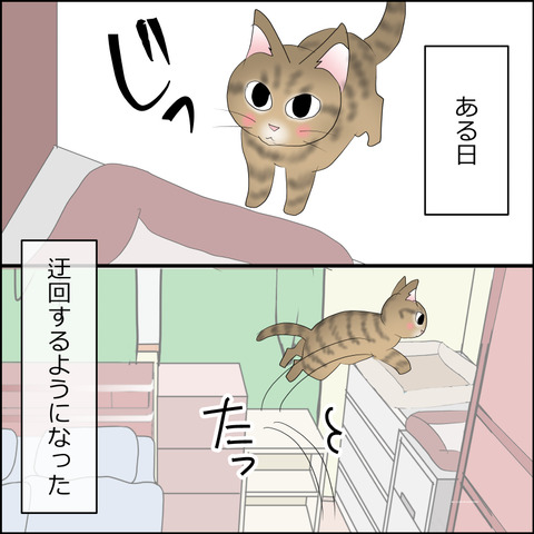 あんこ&麦STORY2359b