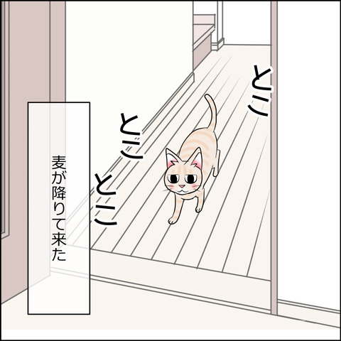 あんこ＆麦STORY2139a