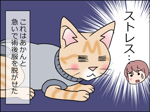 あんこ&麦kenko37b