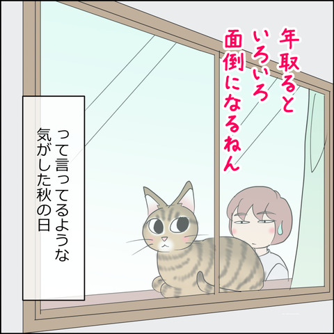 あんこ&麦STORY2363d