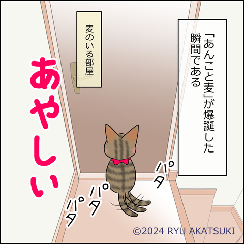 nekokita213d