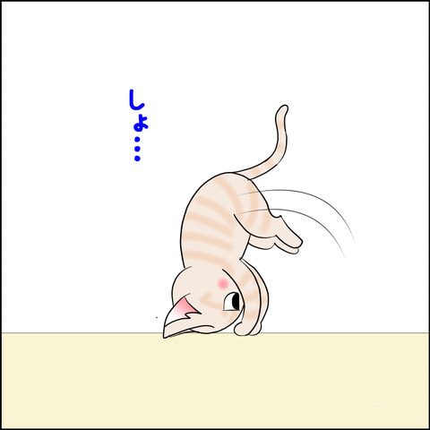 mugitabi00x8b