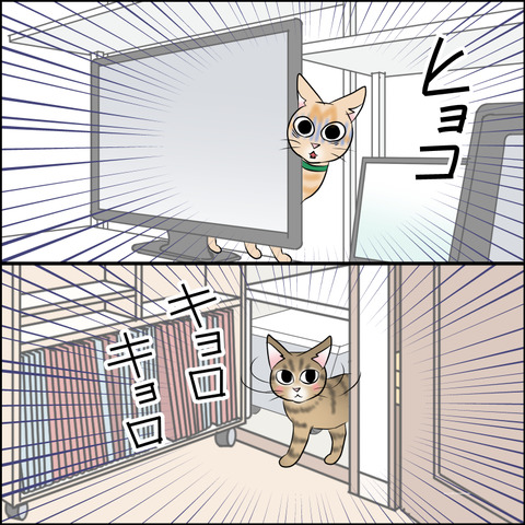 あんこ＆麦STORY2115c