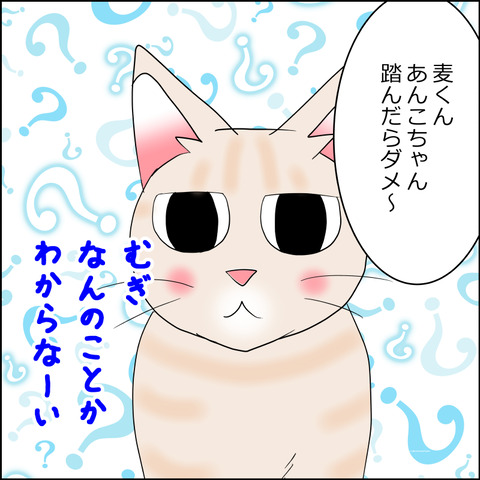 あんこ＆麦STORY2228g