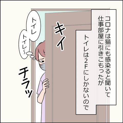 あんこ＆麦STORY1964a