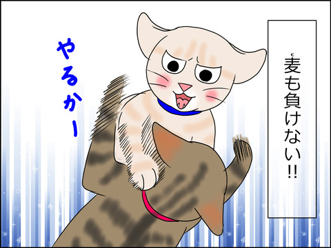 あんこ＆麦STORY1442b