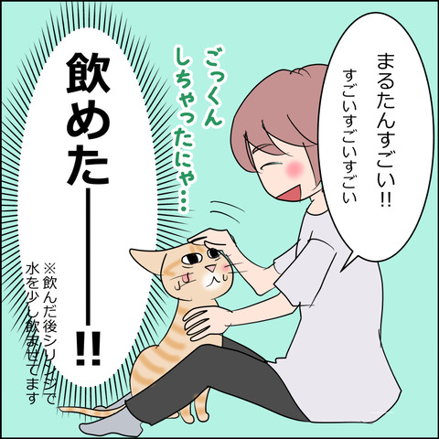 あんこ&麦kenko160d