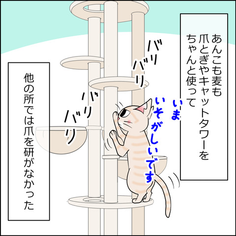 あんこ＆麦STORY2453a