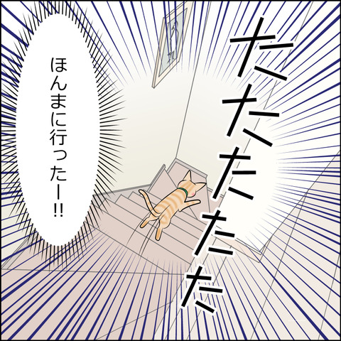 あんこ＆麦STORY2134c