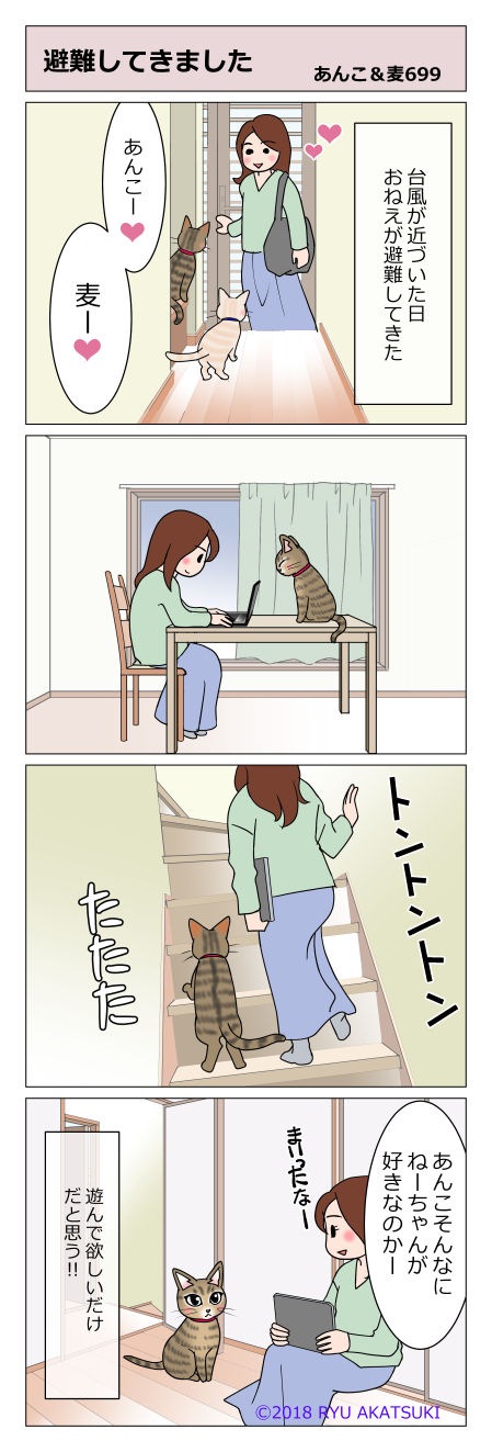 あんこ&麦STORY699