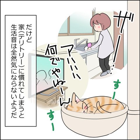 あんこ&麦STORY2407b