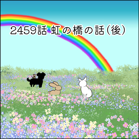 あんこ＆麦STORY2459@