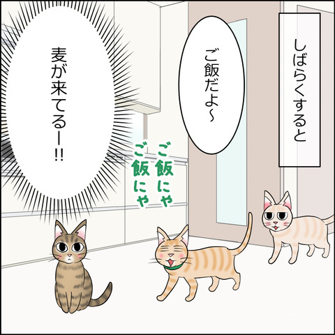 あんこ＆麦kenko121e