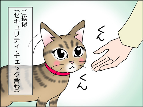 あんこ&麦STORY1520b