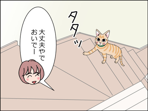 あんこ&麦STORY1521b