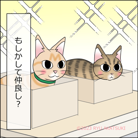 あんこ＆麦STORY1976d