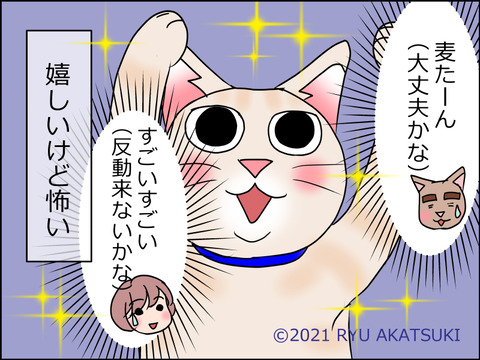 あんこ&麦STORY1470d