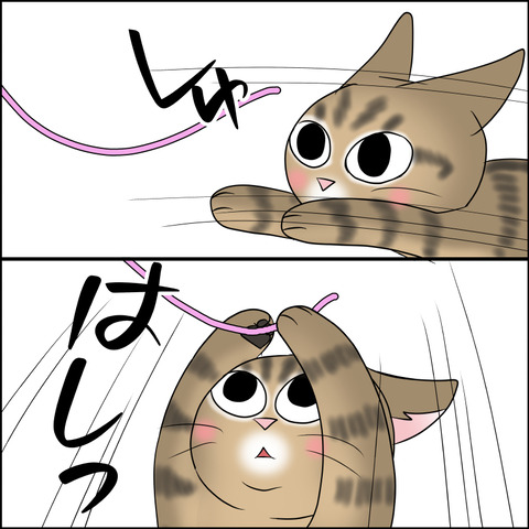 あんこ＆麦STORY2023c