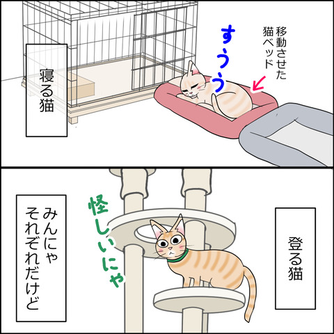 あんこ&麦STORY2235c