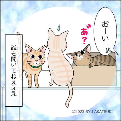 あんこ＆麦STORY1903d