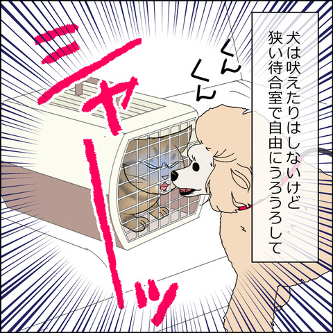 あんこ＆麦STORY2213c