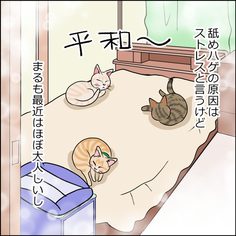 あんこ＆麦kenko71b