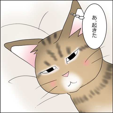 あんこ＆麦STORY2432c