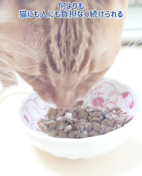 Screenshot_20251211-191351