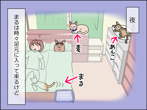 あんこ&麦STORY1441a