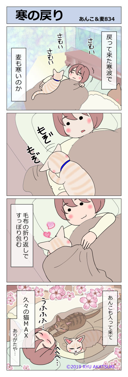 あんこ&麦STORY834