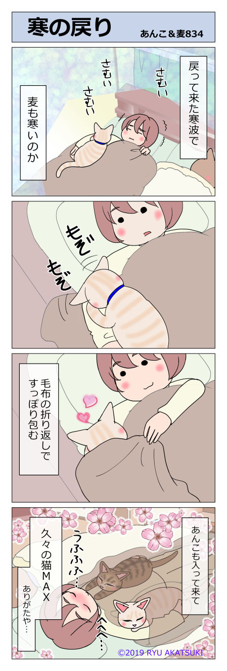 あんこ＆麦STORY834