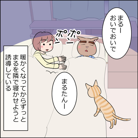 あんこ＆麦STORY2454a