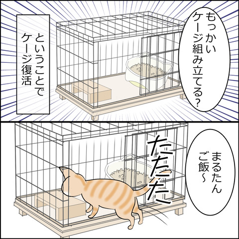 あんこ&麦STORY2437c