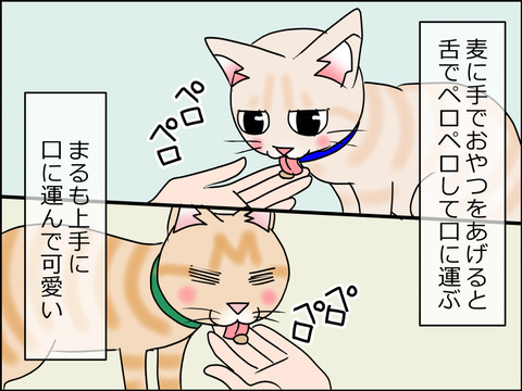 あんこ&麦STORY1471a