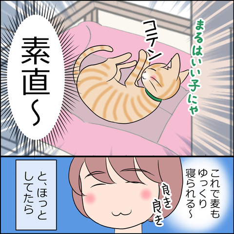 あんこ＆麦STORY1819c