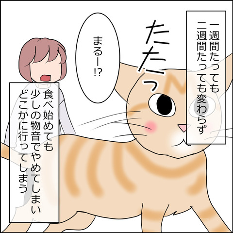 あんこ&麦STORY2437b