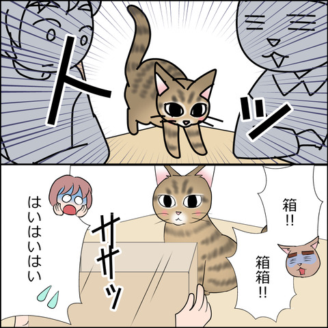 あんこ&麦STORY2232c