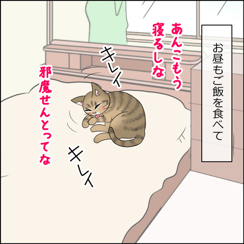 あんこ＆麦STORY2343b